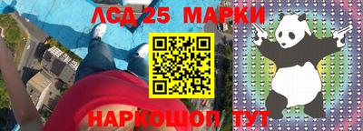 прущие грибы Можга