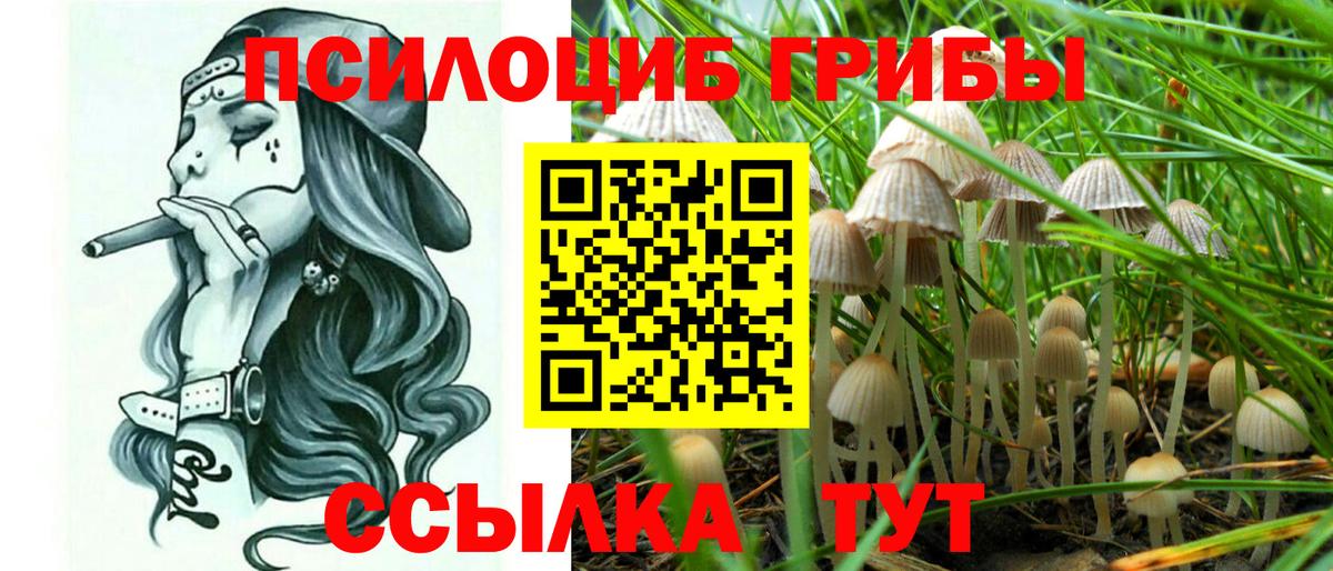 Псилоцибиновые грибы MAGIC MUSHROOMS Сызрань