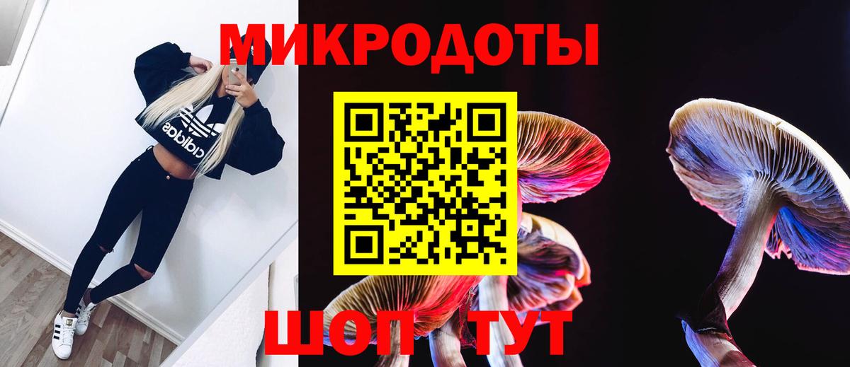 Сызрань  Псилоцибиновые грибы GOLDEN TEACHER  Вход с VPN 